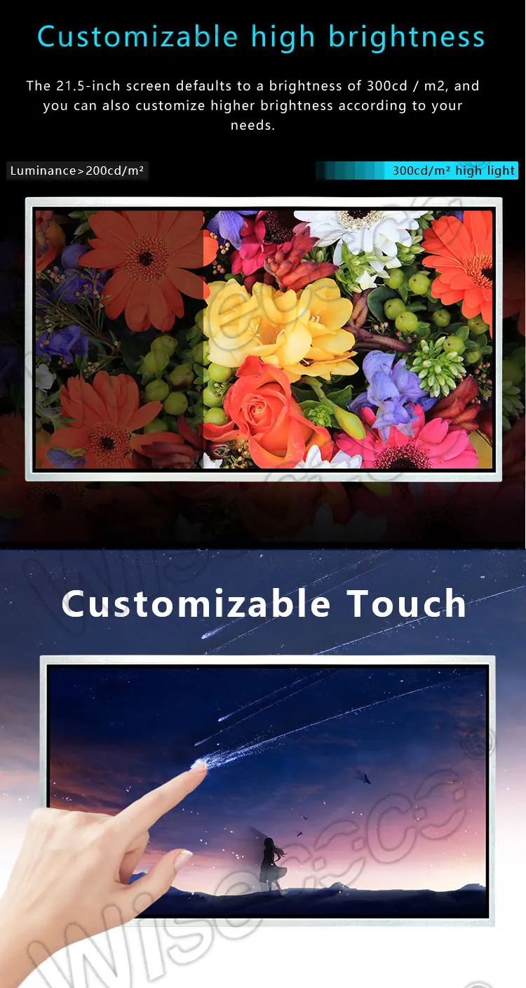 21.5 Inch Custom TFT-LCD Module Display 1920x1080 IPS Lcd Display