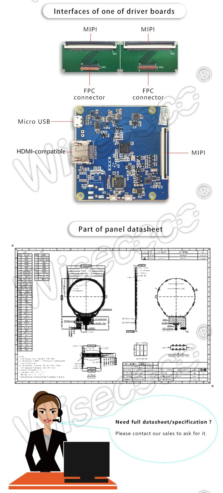 3.4 Inch 800x800 Circular LCD Display