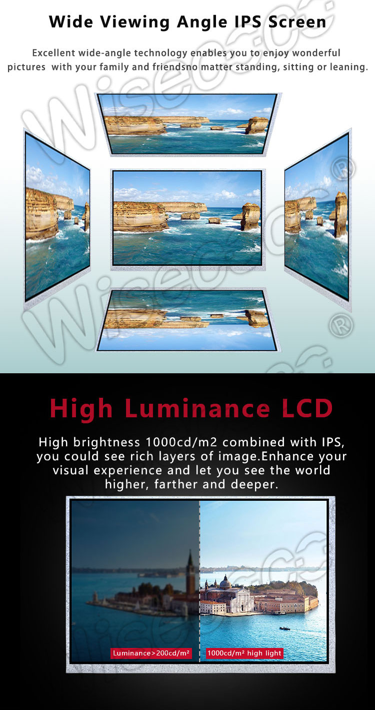 10.1 inch ips 1280x800 LCD