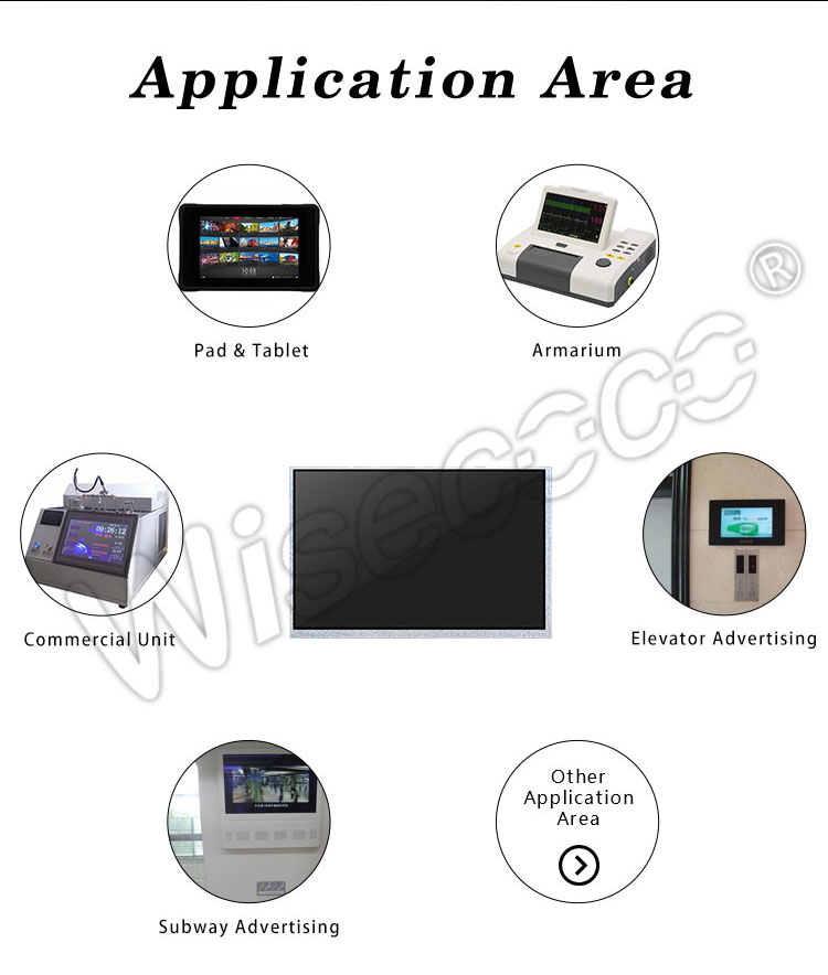 10.1 inch ips 1280x800 LCD