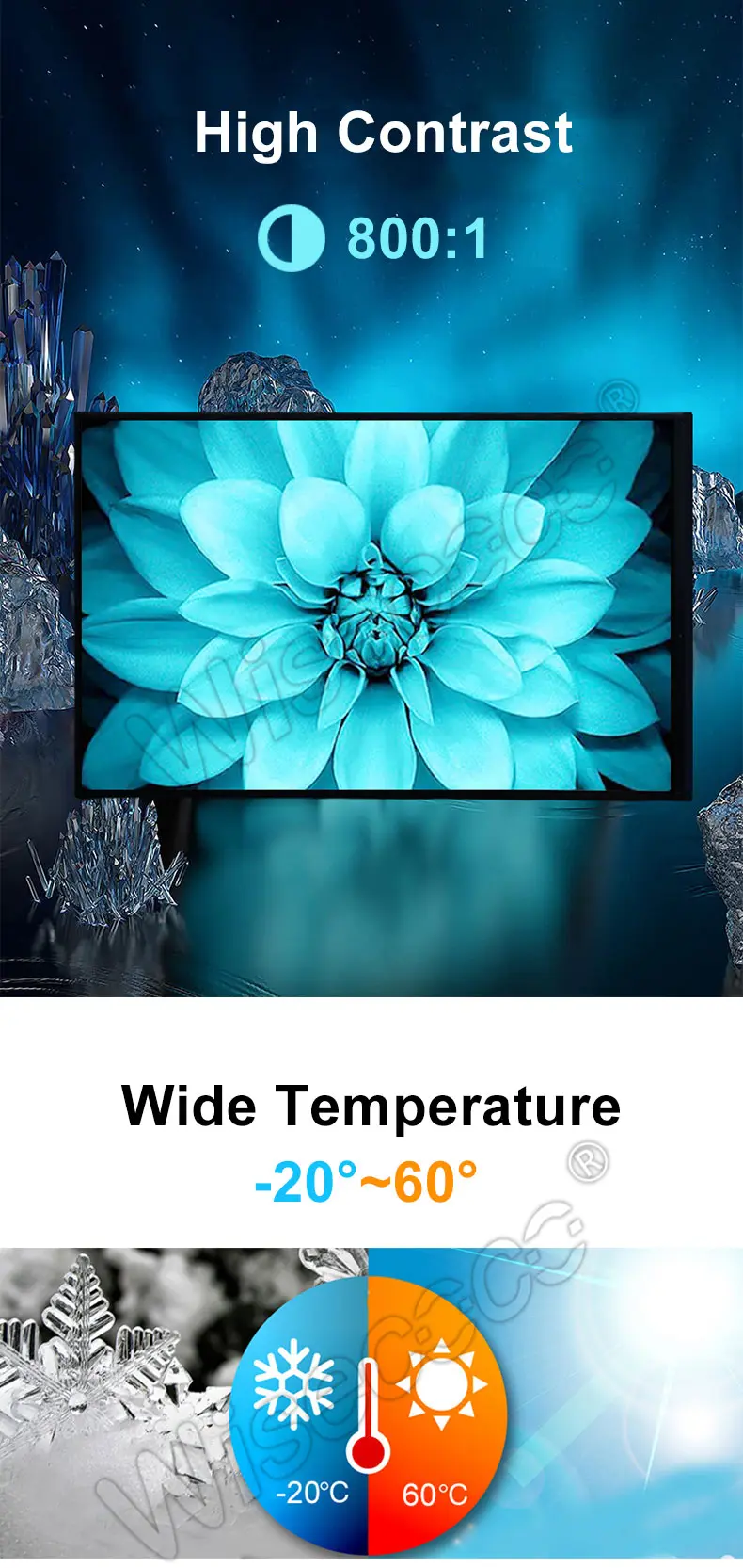 10.1" FHD IPS Display 1200x1920 TFT LCD Module