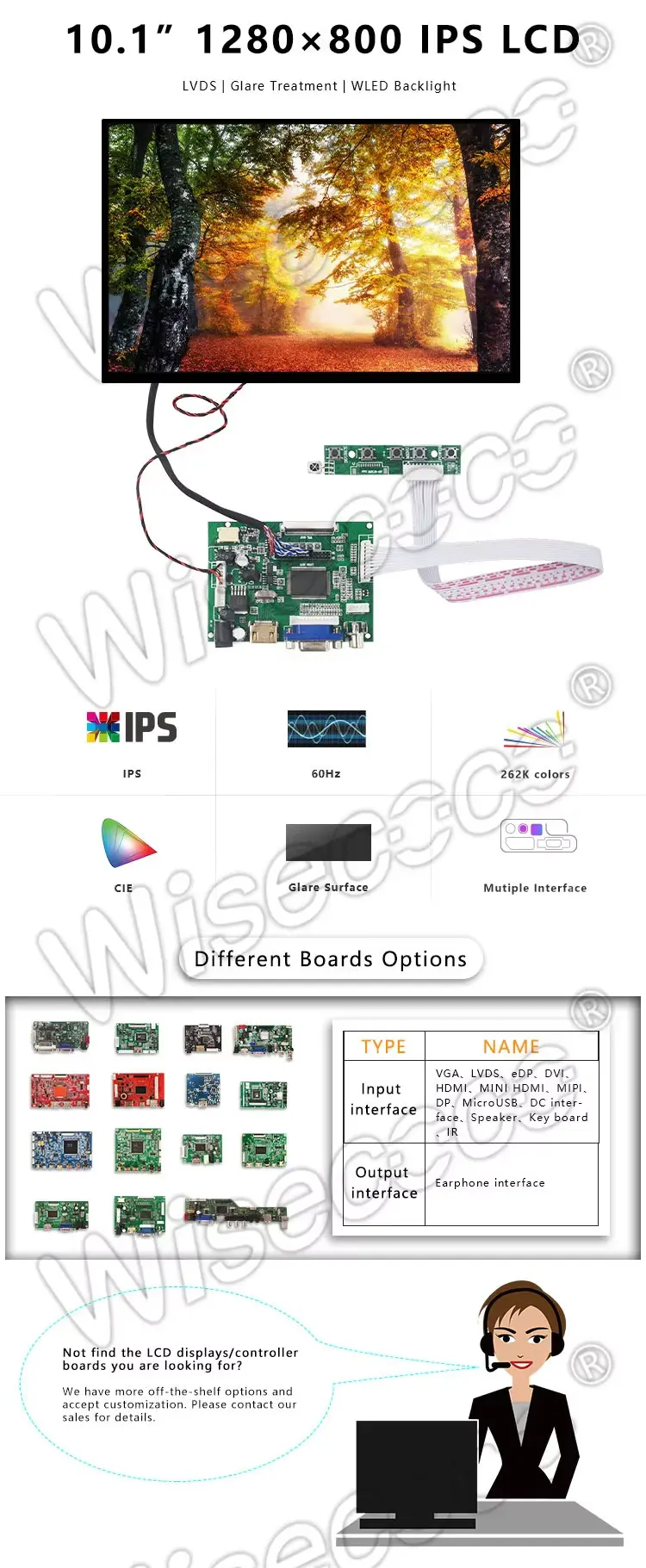10.1 Inch 1280x800 IPS TFT LCD Screen Display WLED Backlight LVDS Interface LCD Module with Driver Board