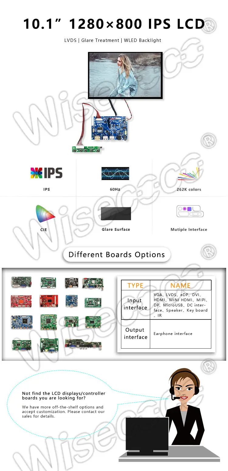 10.1 Inch 1280*800 Tft LCD Module Display