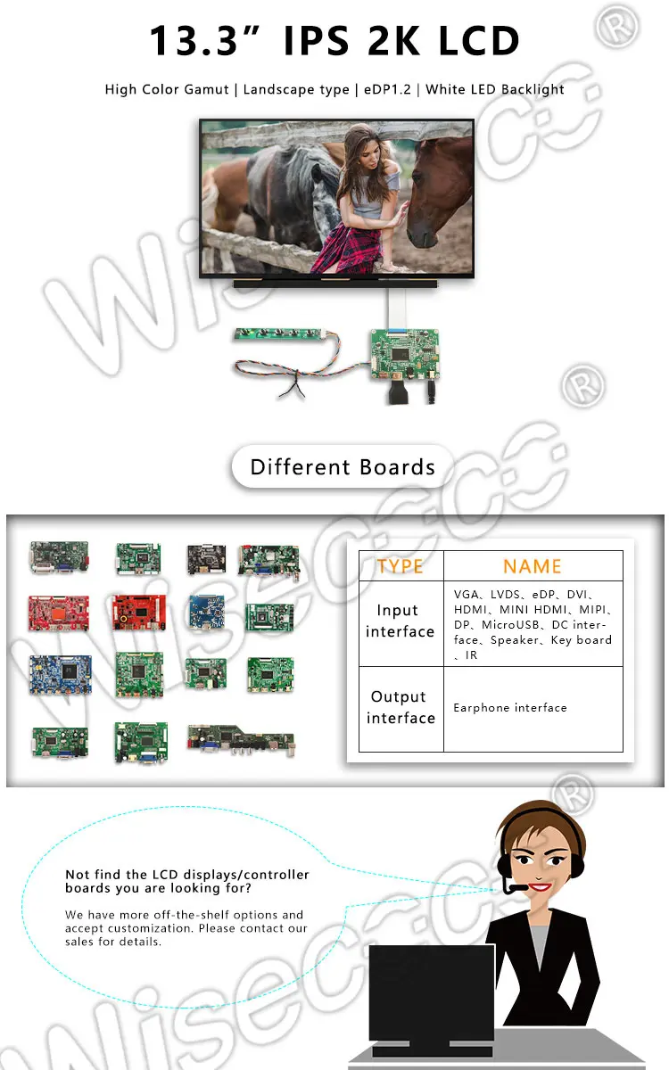 13.3 Inch 2560*1440 2K Slim IPS LCD Panel Display 