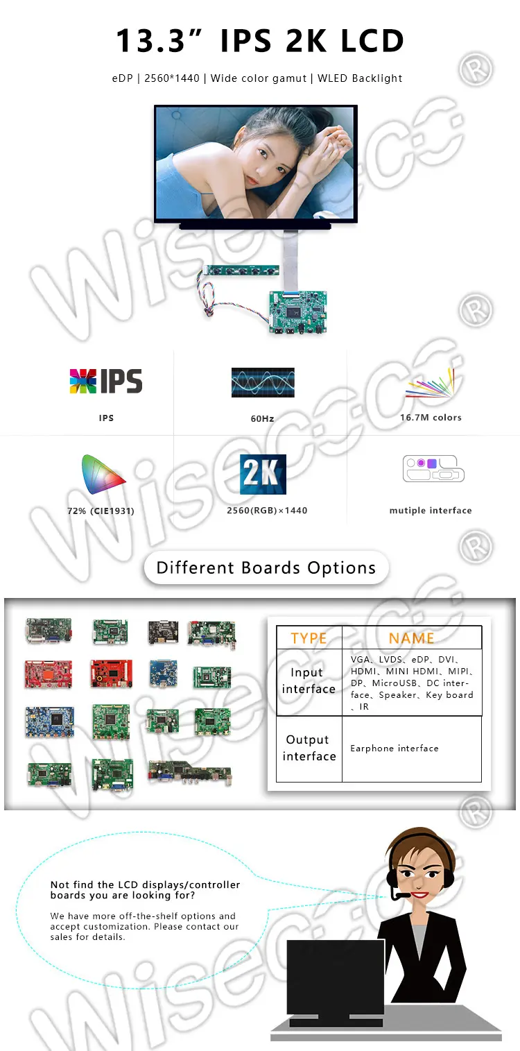 13.3 Inch 2560x1440 2K Resolution LCD Panel EDP 40 Pins Interface IPS LCD Display for Laptop