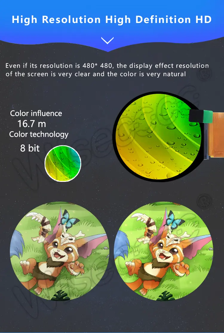 2.1 Inch High resolution high definition 480x480 Circular Panel