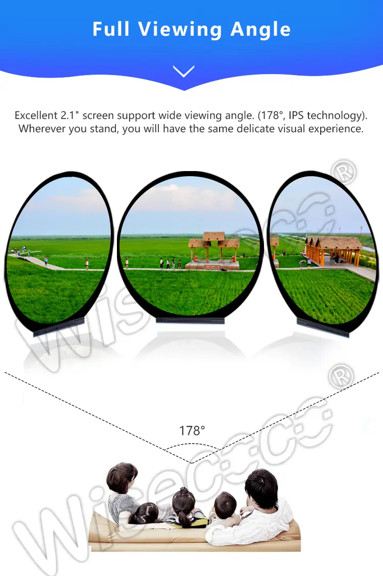 2.1 Inch 480x480 Resolution Full Viewing Angle SPI+RGB Interface tft lcd display