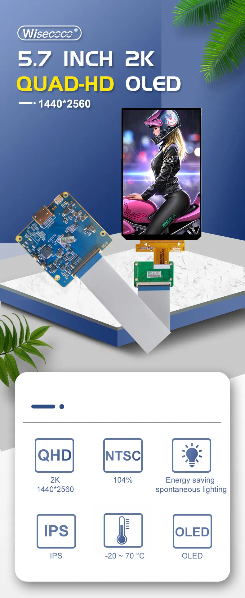 5.7 Inch Oled Screen 1440*2560 MIPI Interface FHD AMOLED OLED Display