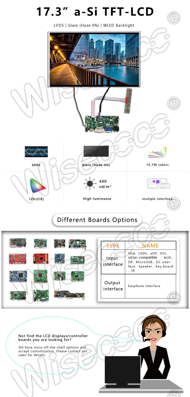 17.3 Inch 1920*1080 30 Pin Lvds Asi Tft LCD Display