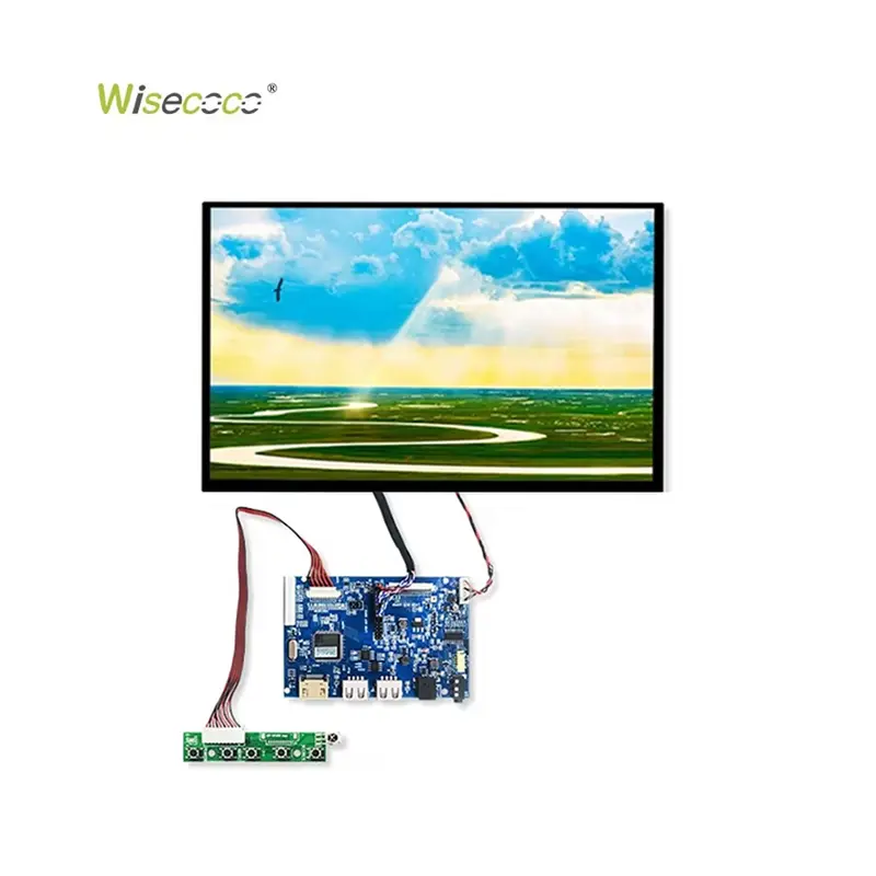 10.1 Inch 1280x800 Tft LCD Module Display Lvds Interface Wide Viewing Angle LCD Panel