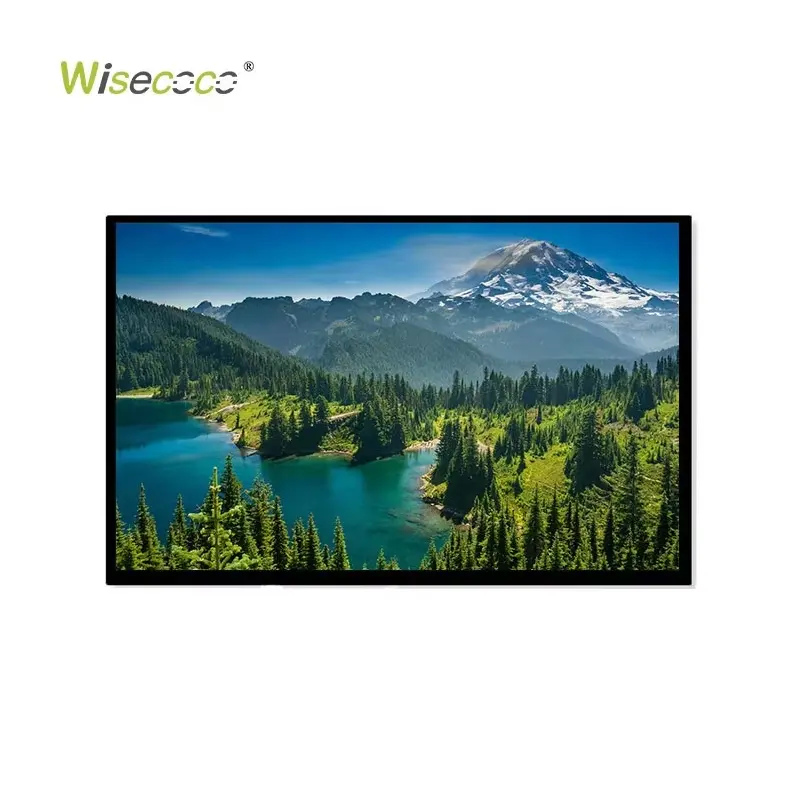 10.1 Inch 1280x800 Tft LCD Module Display Lvds Interface Wide Viewing Angle LCD Panel